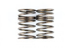 REVE D RDX Shock Spring (Rear 2pcs.)(D1-SSR1)